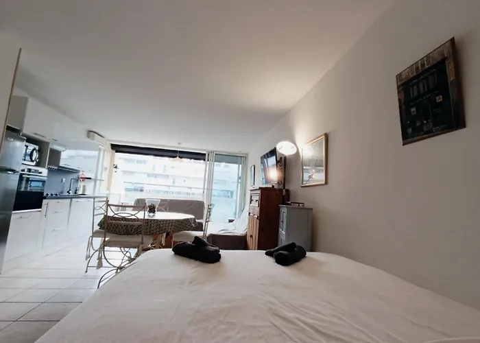 Naturiste Cap D'agde Heliopolis D 78 * 阿格德